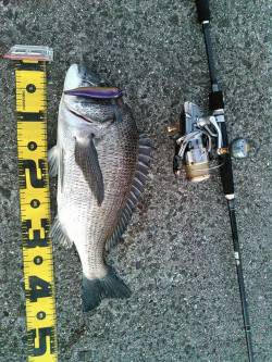 人生初チヌトップ